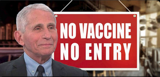 Fauci: When you make it difficult for people… they lose their ideological bull**** and get vaccinated"