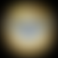 How to be a Traitor 101: Regardless of what you know, don't discuss it