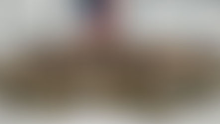 Trump Serves Thanksgiving Meals to the US Border Patrol at the Texas border