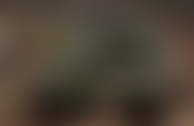 EU will Set Up First ‘Rapid Deployment’ Military Force by 2025