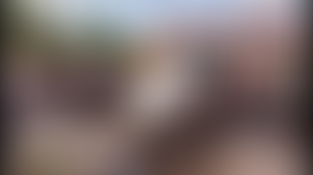 At least 49 migrants dead following vehicle crash in Mexico