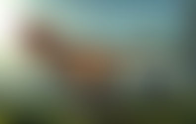 HAPPY BIRTHDAY CIA. 75 Years of HUMINT; You may be older but are you wiser? -NSA