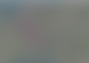 PF Reports- Europe Middle East and India Notable Movement