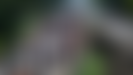 239,416 People Illegally Crossed The Southern Border in May - Highest Monthly Number Ever Recorded