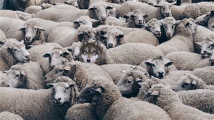 Be Aware of Flase Prophets. Focus on the mission.