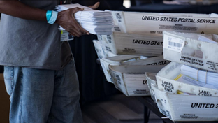 Georgia investigator's notes reveal 'massive' election integrity problems in Atlanta