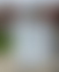 “Drop boxes” are for Democrats, not for Republicans.