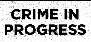 Exibit 10: Glenn Simpson and Peter Fritsch - Crime in Progress