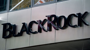 Texas BANS BlackRock, UBS and eight other finance firms from working with the state after finding th