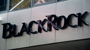 Texas BANS BlackRock, UBS and eight other finance firms from working with the state after finding th