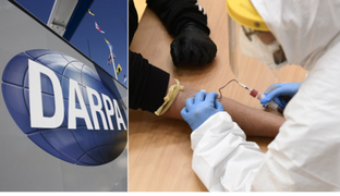 DARPA research lab designing ‘game changer’ rapid coronavirus blood test