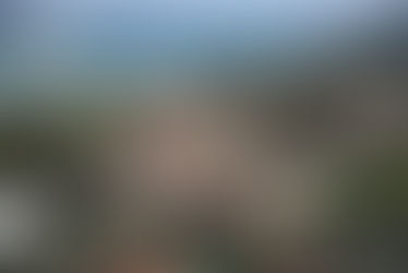 ICYMI: Trump Hosts GOP Candidate Forum at Mar-a-Lago Resort