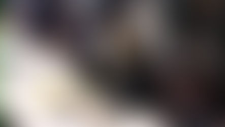 From the Desk of DJT - Georgia Investigation