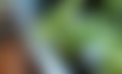 FDA Furloughed. False Flag inbound?