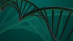 What is coded in your DNA?