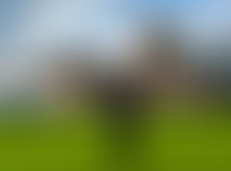 Donald J. Trump - I'M BACK! #COVFEFE