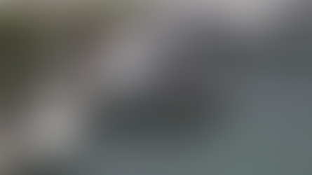 Diver struck by police boat in FL identified as husband of former Obama administration member