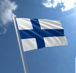 Finland's entire government resigns over failed attempts