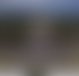 Freedom protests spread across the world