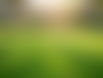 Top Tips for Managing Your Lawn Growth This Spring in Queensland Australia