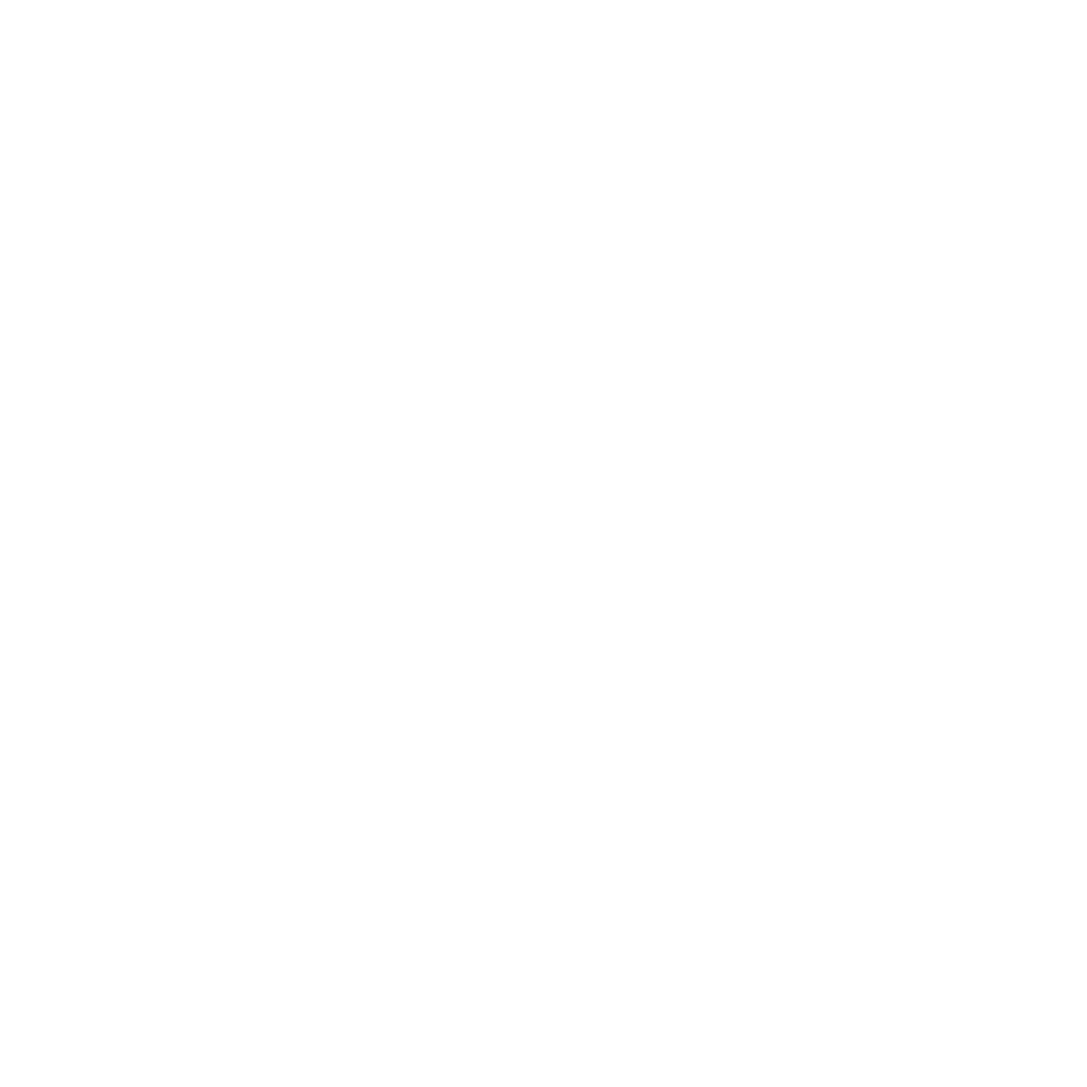 scheels logo.png