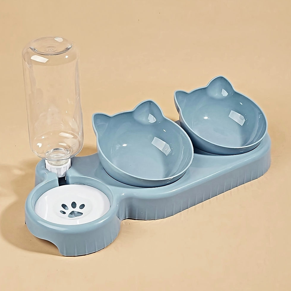 Thumbnail: Cat Feeding Station 3 in 1