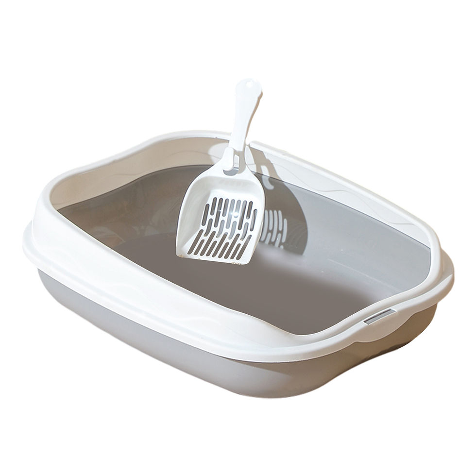 Thumbnail: Modern Cat Litter Tray