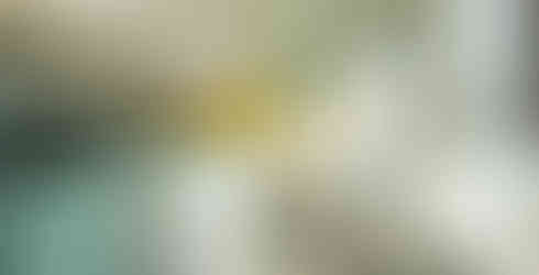 FDA Biosciences Library - interior