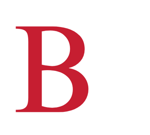 BV Logo wHITE back.png