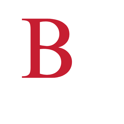 BV Logo wHITE back.png