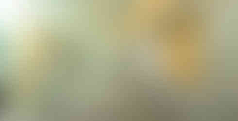 FDA Biosciences Library - interior