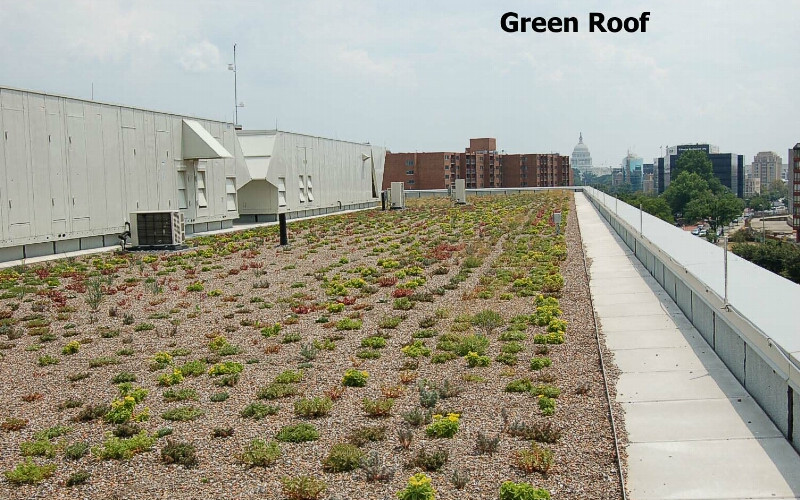 Walker Jones Educational Campus - exterior green roof