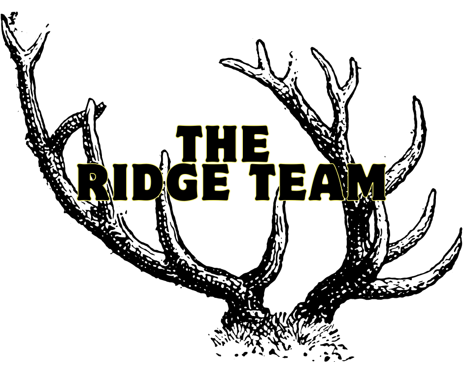 the team.png