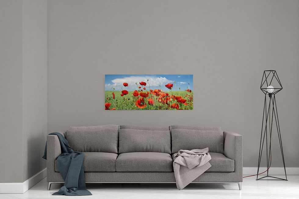 Thumbnail: Poppies Panoramic Glass Print Wall Art