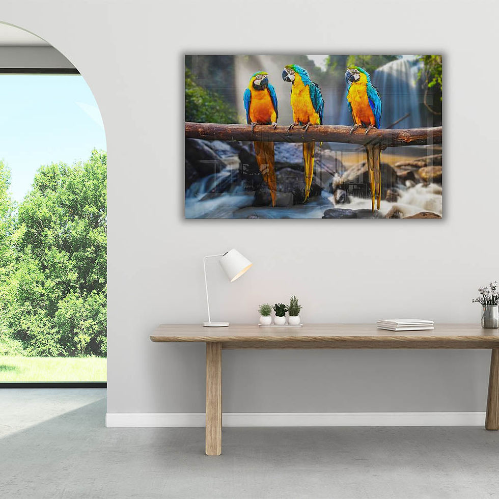 Thumbnail: Parrots Glass Print Wall Art