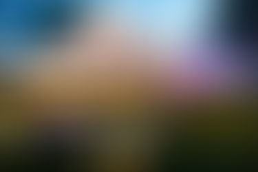 Why Festival Equipment Planning Prevents Delays?