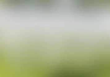 chairs aren’t just functional they’re part of your event’s personality