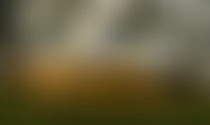 Large white event tent with peaked roof, illuminated inside, set up outdoors on grass at dusk.