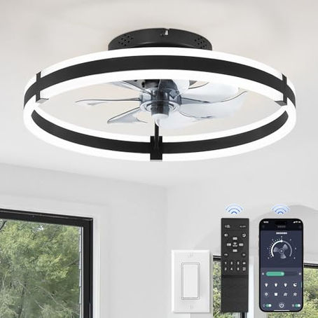 Low-profile ceiling fan with light and remote