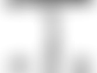 Stainless Steel Shower Squeegee