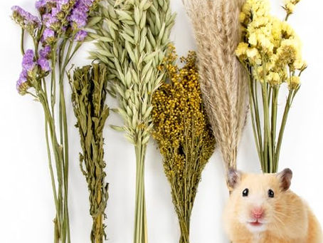 Herb Bedding & Habitat Decor, 42-Piece Set