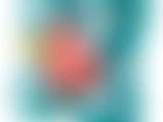 Interactive Dog Treat Puzzle for IQ Training