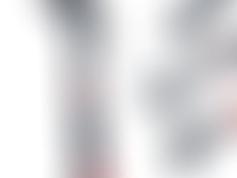 Forged Steel Claw Hammer with Magnetic Nail Starter