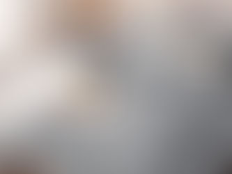 Queen Plush Fleece Comforter Set – Grey, 3-Piece