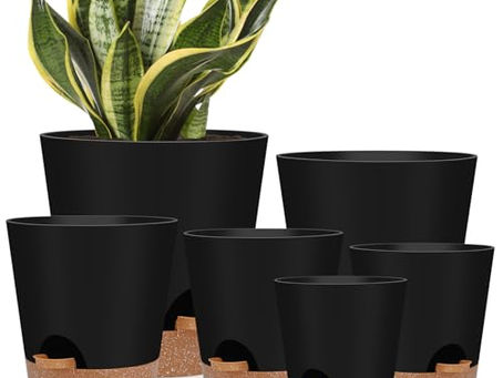 6-Pot Self-Watering Indoor Planter Set (Black)
