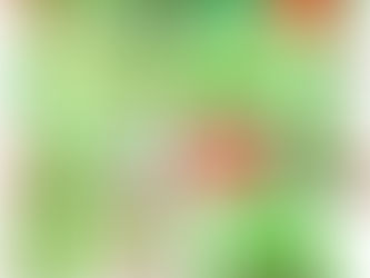 12-Pack Christmas Bath Bombs with Surprises