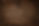 Dark Wood_edited.jpg