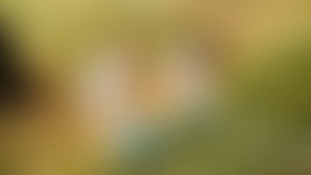 Принципи раціонального природокористування