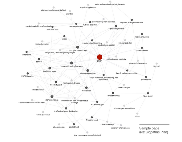 A Sample page from Naturopathic Plan (for website).png