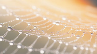 Substancja P, NGF, TRPV1 – czy wiemy, co modulujemy?